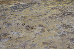 2010-07-18-MudVolcano/img_8661.jpg