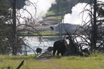 2010-07-18-MudVolcano/img_9485.jpg