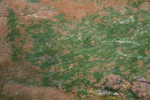 2010-07-18-PorcelainBasin/img_8840.jpg