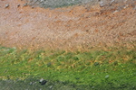 2010-07-18-PorcelainBasin/img_8843.jpg
