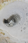 2010-07-18-PorcelainBasin/img_8884.jpg