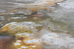 2010-07-18-PorcelainBasin/img_8935.jpg