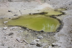 2010-07-18-PorcelainBasin/img_8958.jpg