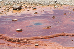 2010-07-18-PorcelainBasin/img_9337.jpg