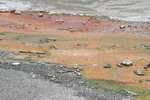 2010-07-18-PorcelainBasin/img_9340.jpg