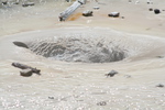 2010-07-18-PorcelainBasin/img_9363.jpg