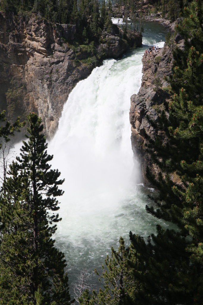 2010-07-18-YellowstoneCanyon/img_8735.jpg