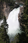 2010-07-18-YellowstoneCanyon/img_8735.jpg
