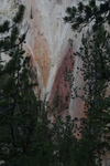 2010-07-18-YellowstoneCanyon/img_8786.jpg