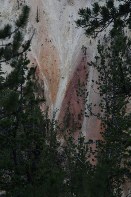 diaporamas/2010-07-18-YellowstoneCanyon/img_8786.jpg