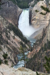 2010-07-18-YellowstoneCanyon/img_9250.jpg