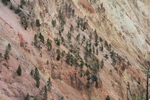 2010-07-18-YellowstoneCanyon/img_9257.jpg