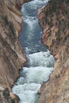 2010-07-18-YellowstoneCanyon/img_9261.jpg