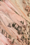 2010-07-18-YellowstoneCanyon/img_9274.jpg