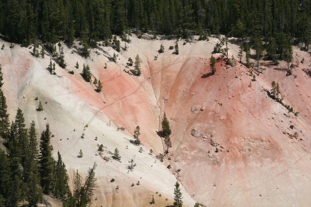 diaporamas/2010-07-18-YellowstoneCanyon/img_9279.jpg