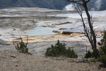 2010-07-19-MammothHotSprings/img_9602.jpg
