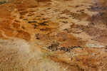 2010-07-19-MammothHotSprings/img_9612.jpg