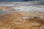 2010-07-19-MammothHotSprings/img_9636.jpg