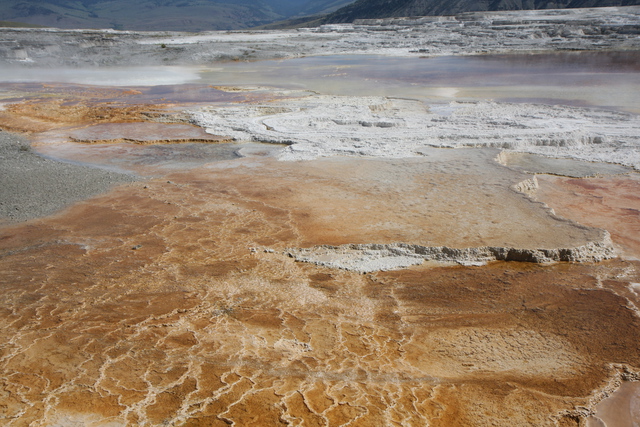2010-07-19-MammothHotSprings/img_9636.jpg