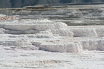 2010-07-19-MammothHotSprings/img_9662.jpg