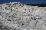 2010-07-19-MammothHotSprings/img_9670.jpg