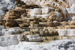 2010-07-19-MammothHotSprings/img_9689.jpg