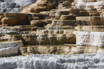 2010-07-19-MammothHotSprings/img_9694.jpg