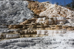 2010-07-19-MammothHotSprings/img_9700.jpg
