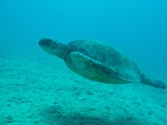 2014_10_25_BaptemePlongee/IMG_3115.jpg