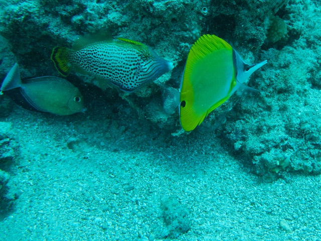2014_10_25_BaptemePlongee/IMG_3129.jpg