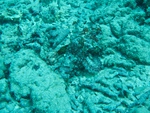 2014_10_25_BaptemePlongee/IMG_3132.jpg
