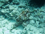 2014_10_25_BaptemePlongee/IMG_3135.jpg