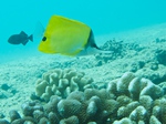 2014_10_25_BaptemePlongee/IMG_3150_1.jpg