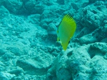 2014_10_25_BaptemePlongee/IMG_3154.jpg