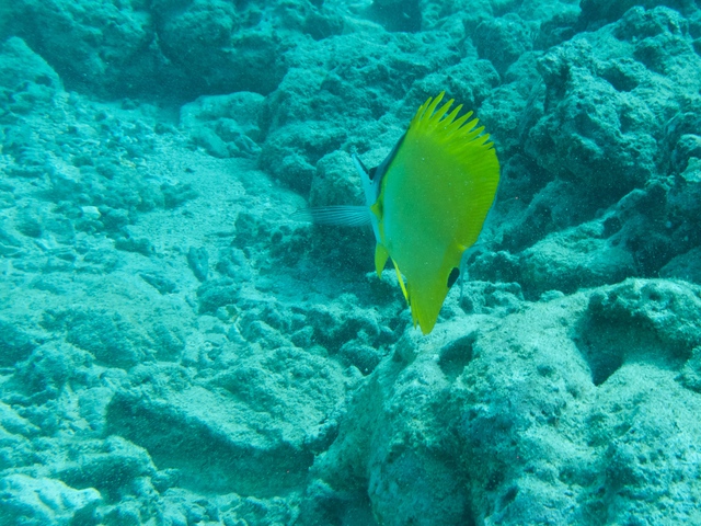 diaporamas/2014_10_25_BaptemePlongee/IMG_3154.jpg
