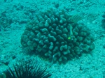 2014_10_25_BaptemePlongee/IMG_3164.jpg