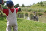 AlanisMarche/img_1978.jpg