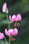 Argentieres2008_LeGouter/img_6800.jpg