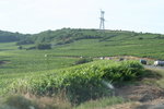 DavidDelphine_VinDHonneurEtCortege/img_4982.jpg