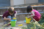 Florine/img_0784.jpg