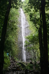 Hawaii_2007_ManoaFalls/img_3762.jpg