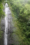 Hawaii_2007_ManoaFalls/img_3768.jpg