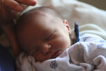 Martin/img_9588.jpg