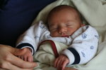 Martin/img_9724.jpg