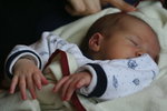 Martin/img_9726.jpg