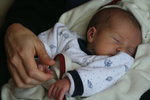 Martin/img_9733.jpg
