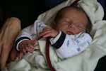 Martin/img_9738.jpg