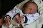 Martin/img_9740.jpg