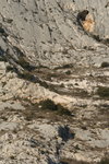 SainteVictoire0106/img_8563.jpg