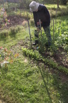 Tronget2008_Croquet/img_6714.jpg